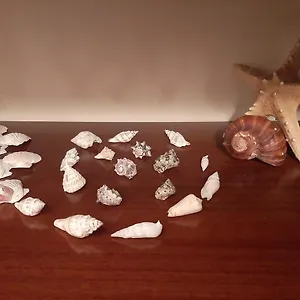 Appartamento Casa Lo Scoglio Della Ballerina